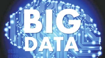 大數據技術項目 內包與外包策略抉擇及其對軟件銷售的影響